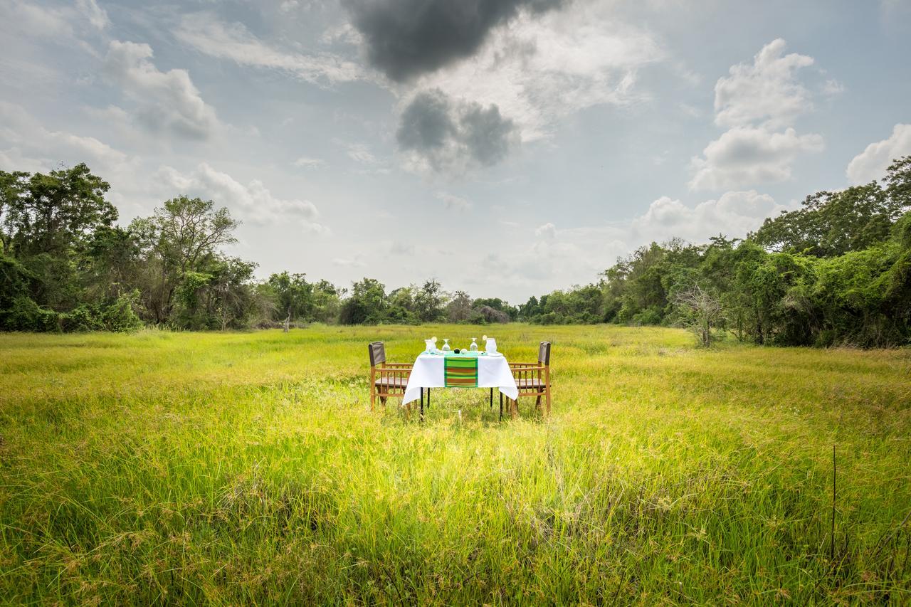 Mahoora Wilpattu - By Eco Team Hotel Exterior photo