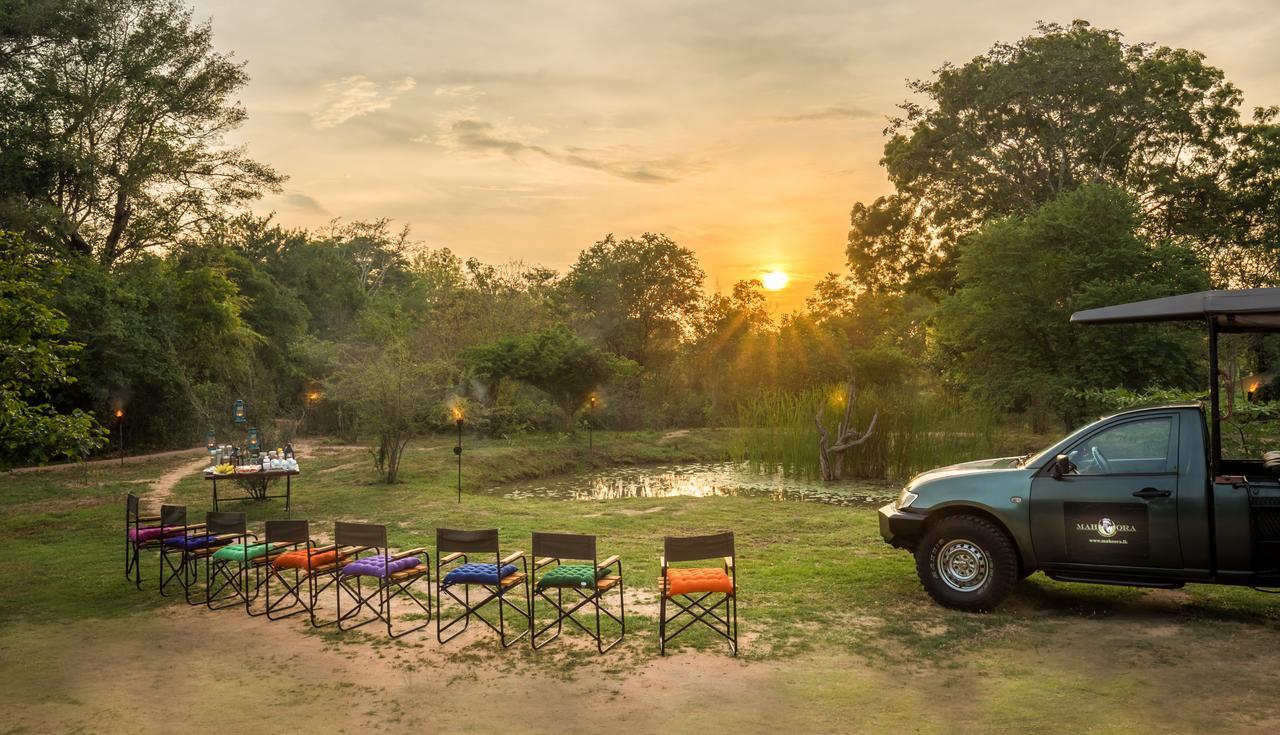 Mahoora Wilpattu - By Eco Team Hotel Exterior photo